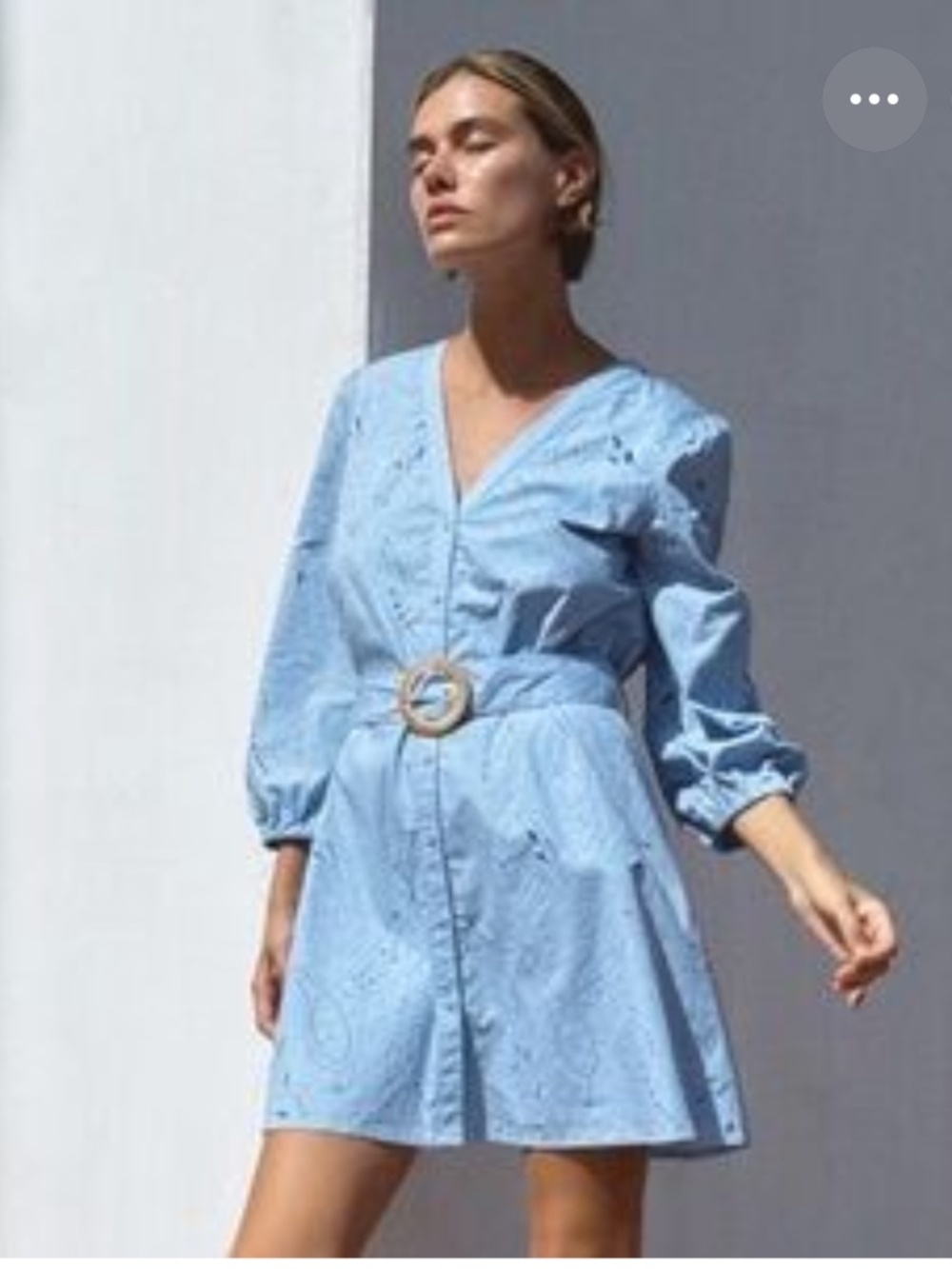 NWT Zara embroidered belted mini dress